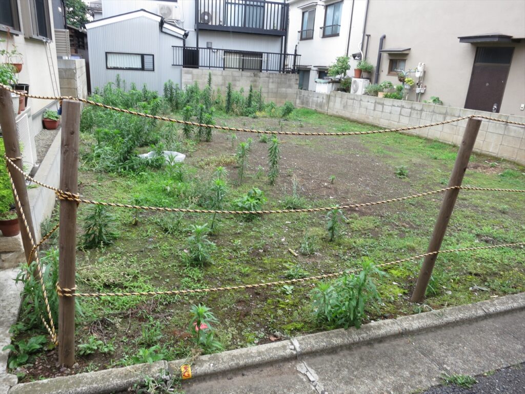 2020年8月21日ブログ買い付け