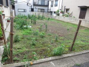 2020年8月21日ブログ買い付け